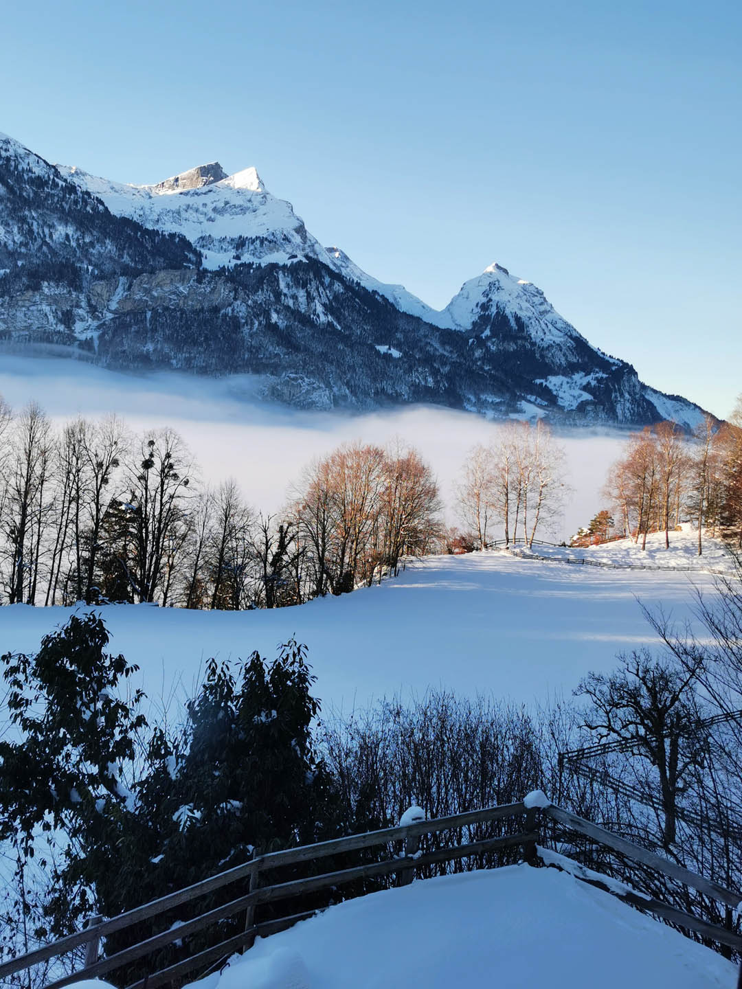 Winterliche Lichtstimmung über der Ebene